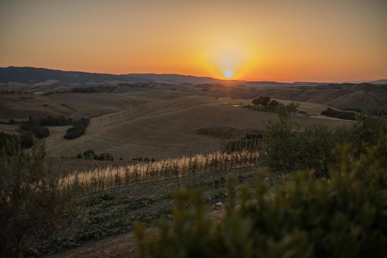 Agriturismo Podere Marcampo Volterra Dış mekan fotoğraf