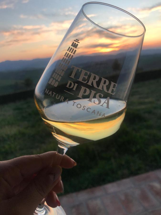 Agriturismo Podere Marcampo Volterra Dış mekan fotoğraf