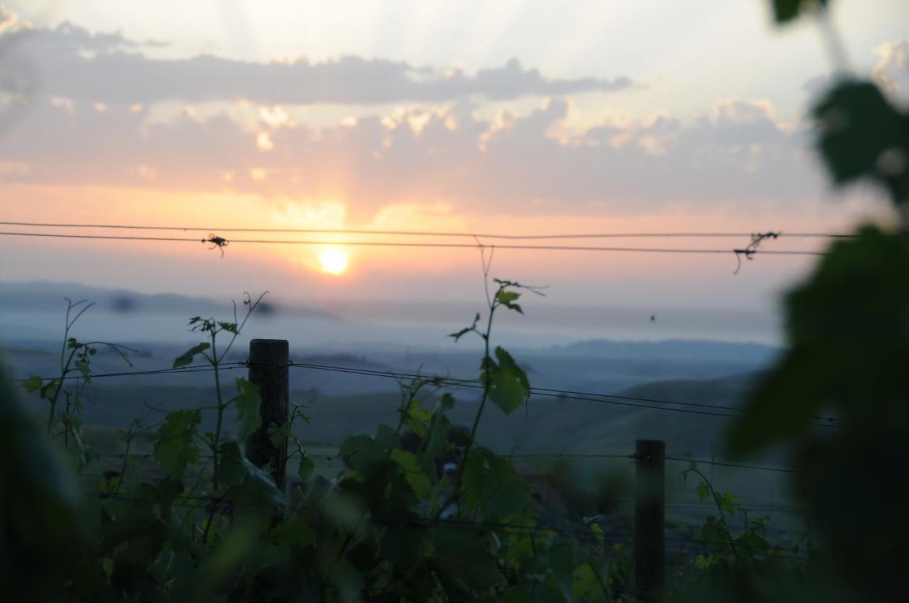 Agriturismo Podere Marcampo Volterra Dış mekan fotoğraf