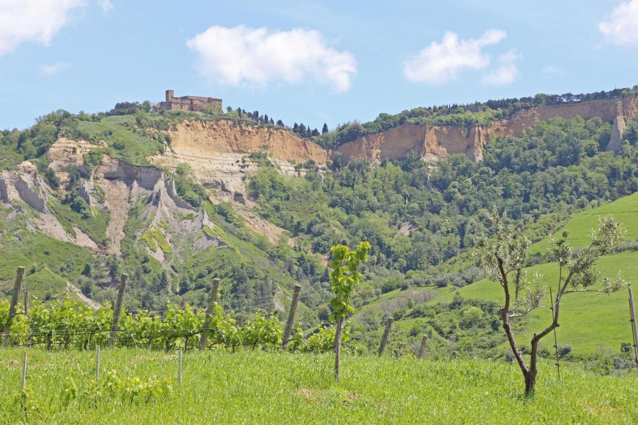 Agriturismo Podere Marcampo Volterra Dış mekan fotoğraf