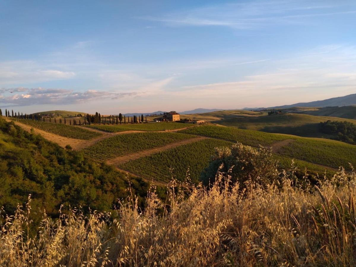 Agriturismo Podere Marcampo Volterra Dış mekan fotoğraf